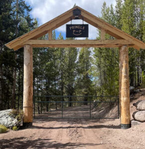 Entryway Gate
